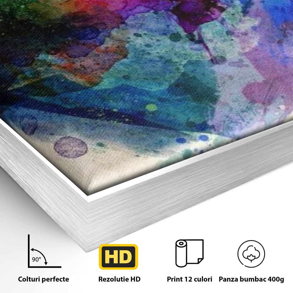 Detaliu al suprafetei: tablou canvas cu inima colorata, in rama de aluminiu argintiu